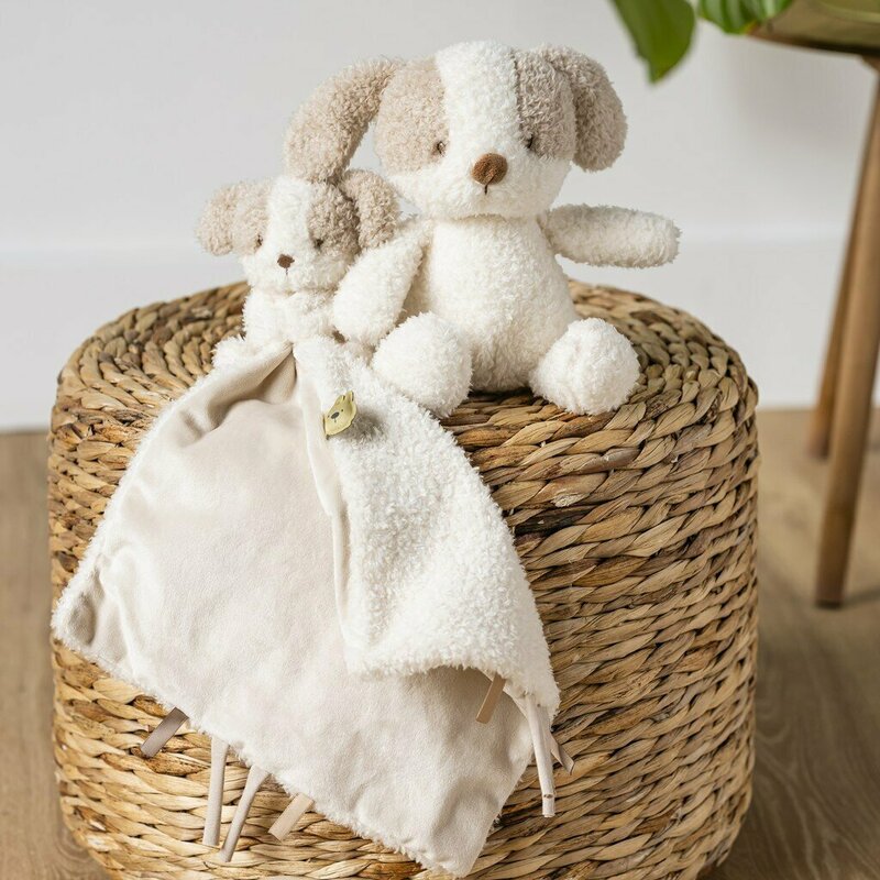 Jucarie plus bebelusi, Nattou, Baby Dog, 24 cm, Material moale si pufos, Prieten de joaca si mangaiere, Stimuleaza simtul tactil si motricitatea fina, 0 luni+, Bej