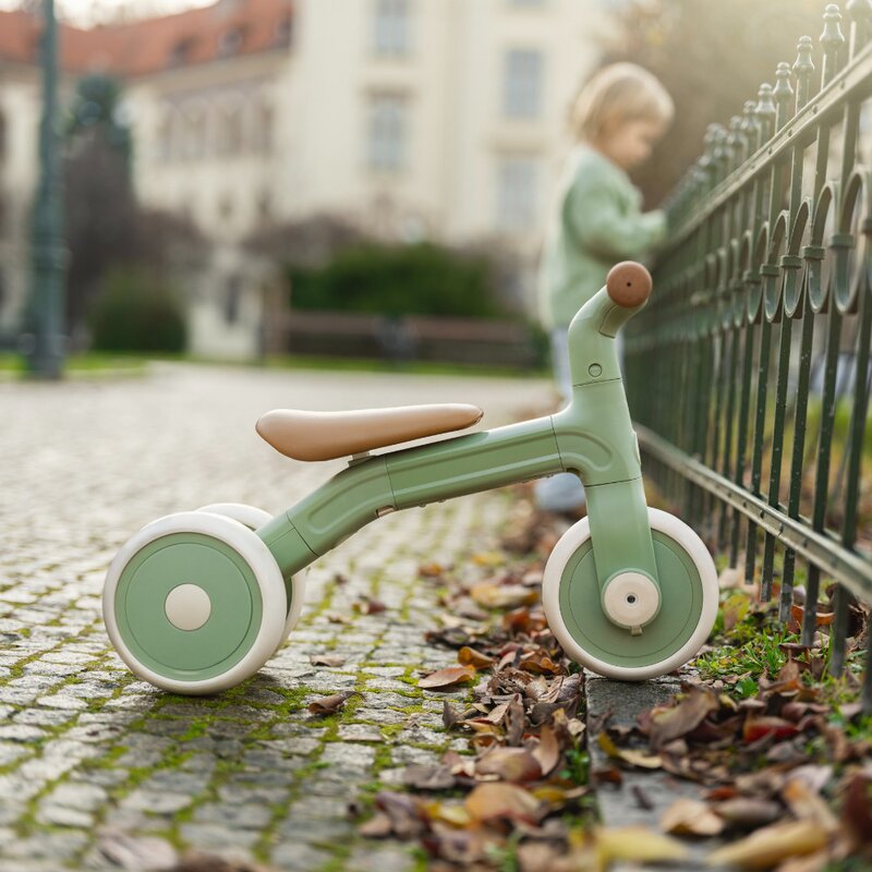 Bicicleta/tricicleta, Petite&Mars, 3 in 1, Multifunctionala, Cu/fara pedale, Ghidon directionabil, Sa reglabila pe inaltime, 2.3 kg, Pana la 25 kg, 12-36 luni, Verde