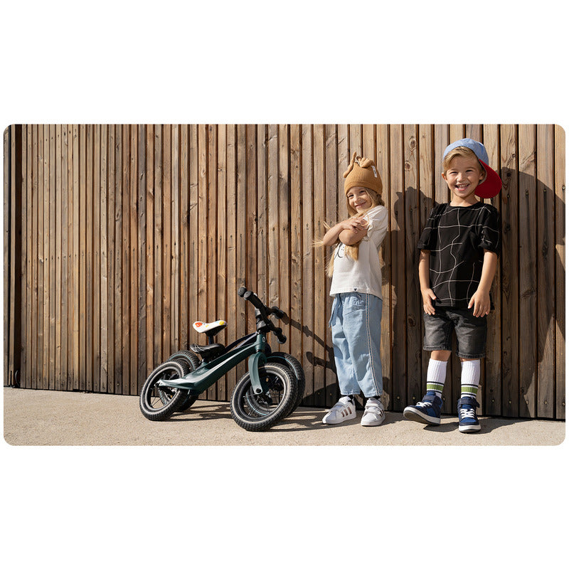 Bicicleta fara pedale, Lionelo, Bart Air, Usoara, Cu roti gonflabile, Cu cadru din magneziu, Cu ghidon si sa reglabile, Greutate 3.8 Kg, 12 inch, Conform cu standardul european de securitate EN71, Green Forest